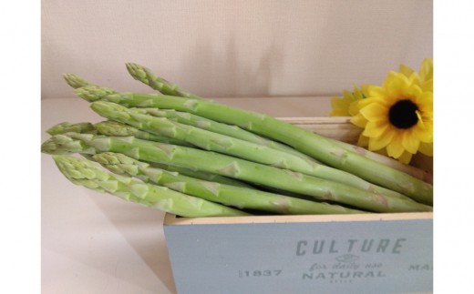 アスパラガス さぬきのめざめ 春芽 約1kg 2314890 - 香川県小豆島町