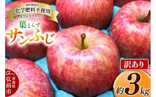 【25年11月～発送】りんご 葉とらず サンふじ 約3kg カワムラファーム 訳あり【先行受付】 青森 果物 フルーツ 林檎 リンゴ くだもの 不揃い 規格外 予約