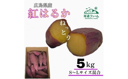 生芋(紅はるか) 5kg（サイズS～L混合）