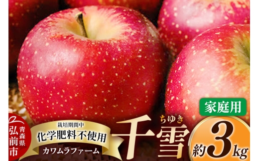 【25年10月～発送】りんご  千雪 約3kg カワムラファーム 家庭用【先行受付】 青森 果物 フルーツ 林檎 リンゴ くだもの 予約