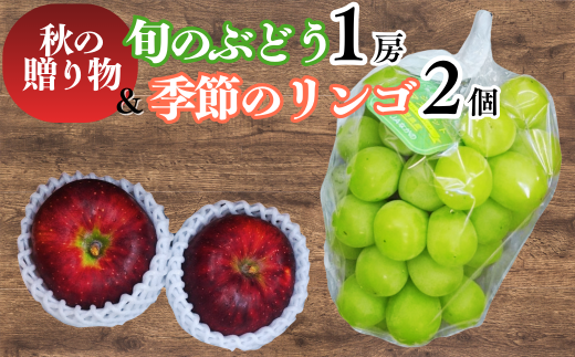 秋の贈り物 旬のぶどう1房と季節のりんご2個詰め合わせ｜葡萄 ブドウ 林檎 詰め合わせ セット 千曲市 長野県 信州 2222340 - 長野県千曲市