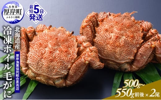 訳あり 3D冷凍 北海道産冷凍ボイル毛がに 500g～550g前後×2尾 [ 毛カニ 蟹 毛ガニ カニ かに ]  [№5863-1387]