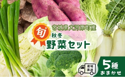 季節の野菜 おまかせ野菜セット 詰合せ 白菜 キャベツ ブロッコリー さつまいも 長ねぎ 大根 さといも 季節 旬 野菜 詰め合せ 国産 おまかせ 産地直送 秋野菜 冬野菜 葉物 冷蔵 野菜室 2315508 - 宮城県大河原町