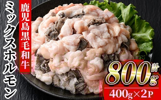 鹿児島県産 黒毛和牛 ミックスホルモン 計800g（400g×2P） 冷凍 国産 鹿児島県産 黒毛和牛 モツ もつ鍋 焼肉 に オススメ ホルモンミックス お取り寄せ 冷凍 生冷凍 ホルモンミックス 【A-1989H】 467251 - 鹿児島県いちき串木野市
