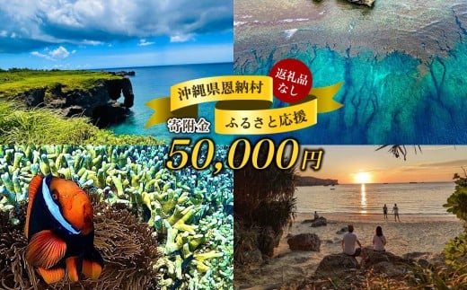 【返礼品なし】沖縄県恩納村ふるさと応援寄附金 50000円  2314786 - 沖縄県恩納村
