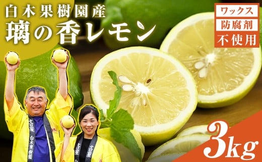 レモン 約3kg 8～15個 璃の香レモン 果物 くだもの 柑橘 フルーツ れもん お取り寄せ 産地直送 おいしい 美味しい 白木果樹園 常温 配送 高知県 高知 土佐市