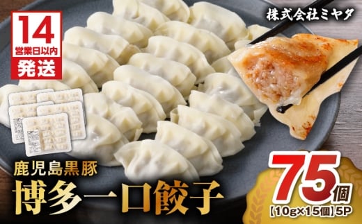 [14営業日以内に発送] 鹿児島黒豚博多一口餃子 75個 K025-009_01