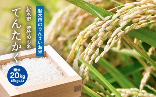 【R7年度産米 新米予約】[人気のブランド米]てんたかく 「若竹のお米 」　20kg（5kg×4）【精米】｜米 新米 先行予約 令和7年産米 ブランド米 銘柄米 こめ 白米 先行予約 送料無料 富山県 射水市 2131215 - 富山県射水市