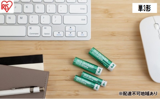 乾電池 BIGCAPA basic plus アルカリ乾電池 単3形4本パック LR6Bbp/4S 乾電池 単3 4本パック 10年 防災 非常用 防災用品 2315484 - 宮城県大河原町