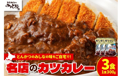 レンジで温めるだけ！みしな大人気メニューをお家でお手軽調理！ とんかつのみしな 冷凍カツカレー 3食セット_S011-0011