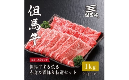 ＜但馬牛＞ すき焼き 赤身&霜降り 特選セット1kg【1313388】 757038 - 兵庫県養父市