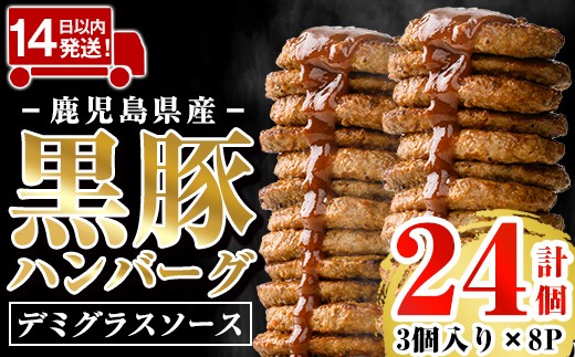 a1003 鹿児島県産黒豚ハンバーグ 計24個 (210g(3個入)×8P) 【AKR Food Company】姶良市 ハンバーグ デミグラスソース デミソース 国産 鹿児島県産 肉 豚 豚肉 かごしま黒豚さつま お弁当 惣菜 総菜 冷凍ハンバーグ おかず 温めるだけ 湯煎 簡単 冷凍 小分け 2005929 - 鹿児島県姶良市