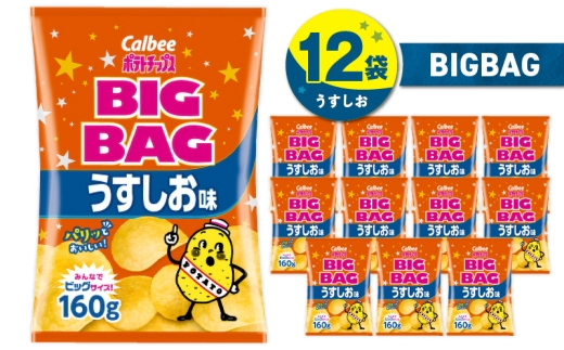カルビー ポテトチップス BIGBAG【うすしお】12袋　K194-002_04 2012763 - 鹿児島県鹿児島市