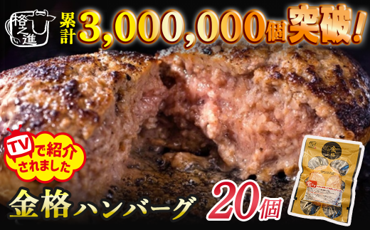＼TVで紹介されました！／ 《格之進》金格ハンバーグ 20個 ハンバーグ 無添加 個包装 惣菜 おかず お弁当 調理済 簡単調理 冷凍ハンバーグ 返礼品 国産牛 黒毛和牛  高級ハンバーグ お取り寄せ ギフト 人気  岩手県一関市