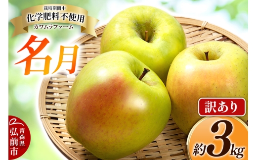 【25年11月～発送】りんご 名月 約3kg カワムラファーム 訳あり【先行受付】 青森 果物 フルーツ 林檎 リンゴ くだもの 不揃い 規格外 予約