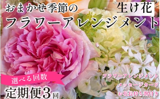 季節の 花束 フラワーアレンジメント 定期便 3回 オリジナル手作りカード付 生花 こだわりギフト プレゼント 母の日 父の日 敬老の日 花束 フラワーガーデンミモザ ※北海道・沖縄・東北の一部・離島への配送不可 2309163 - 徳島県小松島市
