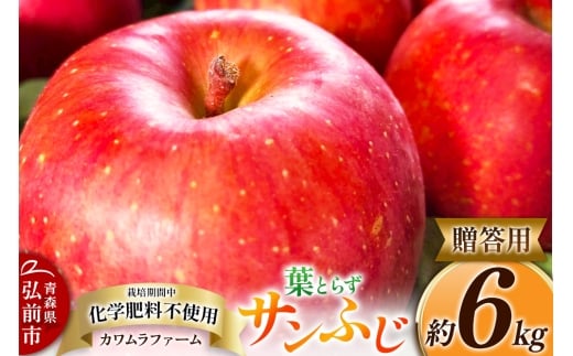 【25年11月～発送】りんご 葉とらず サンふじ 約6kg カワムラファーム 贈答用【先行受付】 青森 果物 フルーツ 林檎 リンゴ くだもの 予約