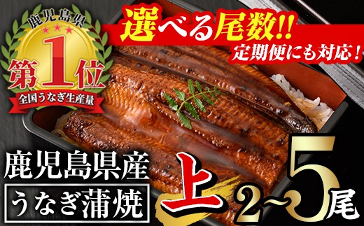 [尾数・配送回数が選べる!]無投薬!鹿児島県産うなぎ蒲焼セット[上](計280g以上〜計700g以上・140g以上×2尾〜5尾 / 定期便 全3回 計840g以上・140g以上×2尾×3回) タレ・山椒付き 鰻 ウナギ 国産[西日本養鰻]