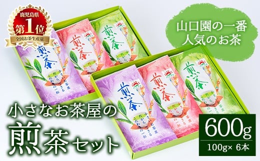 [お茶生産量日本一の鹿児島県産!]小さいお茶屋の煎茶セット(煎茶100g×6本・合計600g) 鹿児島県産 煎茶 セット[お茶の山口園]A185-v01