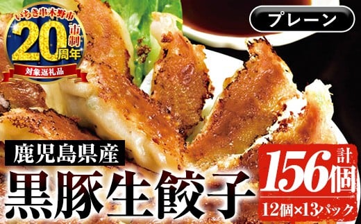 【家計応援】鹿児島黒豚生餃子 合計156個！（12個×13P） 国産 鹿児島県産 黒豚 餃子 ぎょうざ ギョーザ ギョウザ 冷凍餃子 冷凍 冷凍食品 惣菜 弁当 おかず 小分け 詰め合わせ 大容量【CP-023H】 253547 - 鹿児島県いちき串木野市