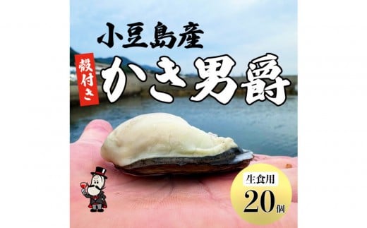 小豆島 かき男爵（殻付き生食用）20個セット