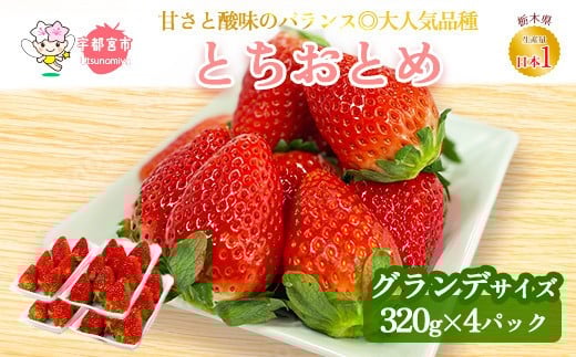 【先行予約】とちおとめ ご家庭用 320g×4パック 約1.2kg グランデサイズ  | いちご 苺 イチゴ フルーツ 果物 国産 平積み 甘い 糖度 旬 新鮮 フルーツ アレンジ スイーツ いちごジャム フルーツサンド ※離島への配送不可 ※2026年1月中旬～4月中旬頃に順次発送予定