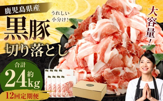 【12ヶ月定期便】鹿児島県産黒豚 大容量小分けパック切り落とし 合計24kg(2kg×12回)