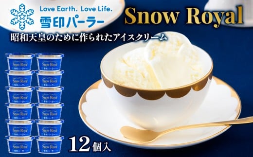 雪印パーラー スノーロイヤル 12個セット