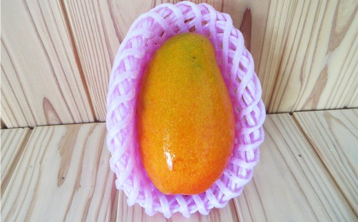 人吉市産マンゴー2～3玉（約1.5kg）