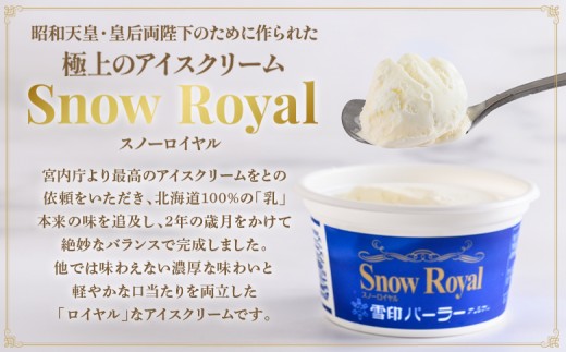 雪印パーラー スノーロイヤル 12個セット