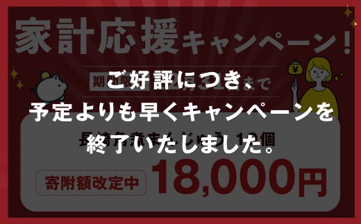 長崎 角煮まんじゅう 10個