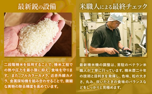 熊本県苓北町のふるさと納税 令和7年産 新米 無洗米 こしひかり 20kg《7-14日以内に出荷予定(土日祝除く)》5kg×3袋 熊本県産 ふるさと納税 無洗米 精米 ひの 米 こめ ふるさとのうぜい コシヒカリ コメ お米 おこめ