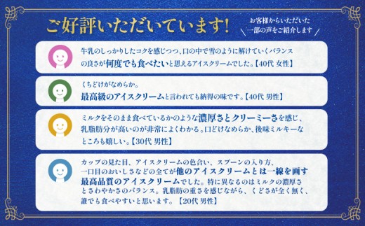 雪印パーラー スノーロイヤル 12個セット