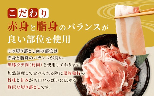 【隔月3回定期便】鹿児島県産黒豚 大容量小分けパック切り落とし 合計6kg（2kg×3回）