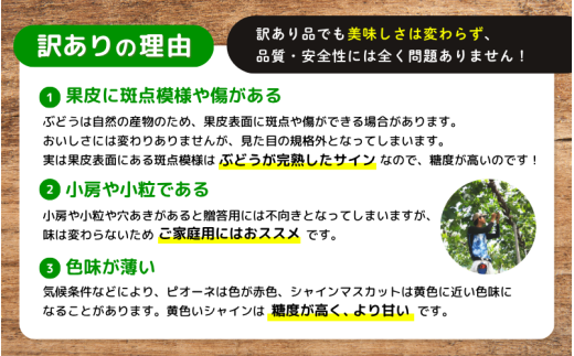 訳ありの理由