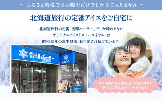 雪印パーラー スノーロイヤル 12個セット