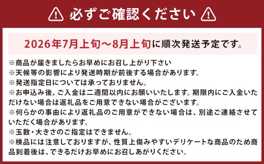 人吉市産マンゴー2～3玉（約1.5kg）