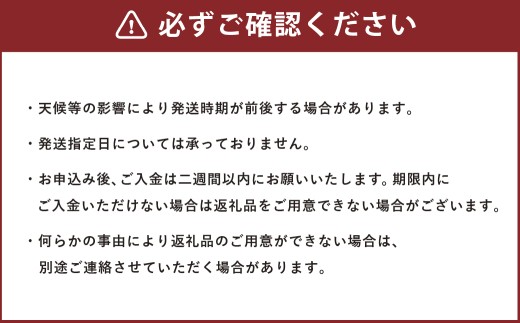 【フルーツ3回定期便】 アンデスメロン5kg＋桃1kg＋梨5kg