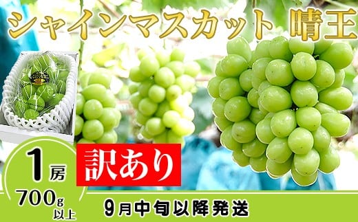【訳あり】シャインマスカット晴王1房【2026年9月中旬～10月下旬発送予定】（いばら愛菜館） 830041 - 岡山県井原市