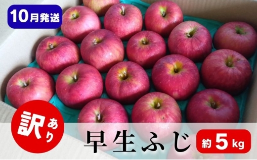 [№5554-0332]りんご【10月発送】訳あり 早生ふじ 約5kg 青森県 りんご リンゴ 林檎 フルーツ くだもの 果物 青森県 りんご デザート 旬の果物