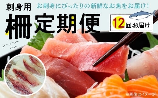 S121-T05_【全12回　連続 指定日必須】 お刺身用柵定期便