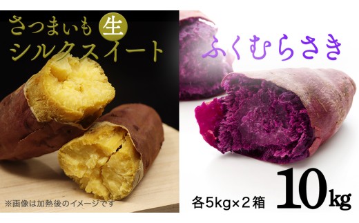 さつまいも [ シルクスイート ・ ふくむらさき ] 5kg ( 箱込 )の 2箱セット さつまいも 詰合せ 国産 農園 野菜 サツマイモ 芋 期間限定 デザート スイーツ おやつ 料理 味噌汁 煮物 生芋