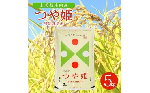令和7年産【精米】特別栽培米 つや姫　10kg(5kg×2袋) AK SB0781