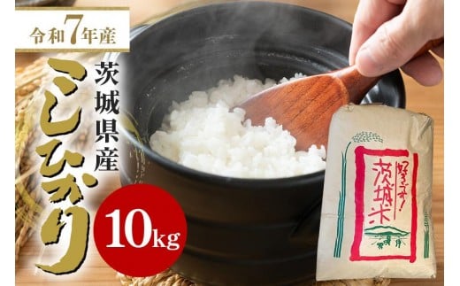 【令和7年産】石岡市産コシヒカリ 10kg 精米 お米 米 白米 茨城県 石岡市 B05-008 2304296 - 茨城県石岡市