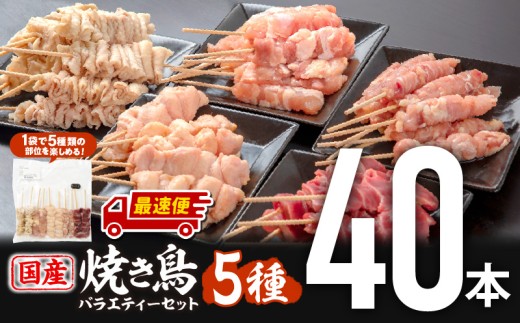 [発送時期が選べる]若鶏の焼き鳥セット5種(40本)バラエティーセット 鶏肉 肉 お肉 焼き鳥 焼鳥 串焼き セット 詰め合わせ 焼鳥セット もも せせり 皮 ぼんじり 砂肝 部位 国産 九州産 産地直送 BBQ 若鶏 冷凍 食べ比べ 味比べ 部位比べ アウトドア グランピング キャンプ バーベキュー 焼き肉 盛り合わせ
