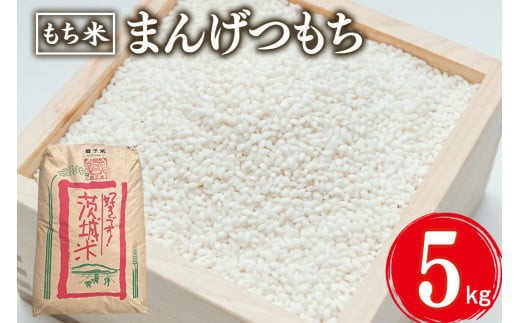 まんげつもち 精米 5kg 岡田ファーム もち米 マンゲツモチ お米 もち 米 モチ 5キロ 国産 餅 こめ コメ 茨城県産 茨城 産直 産地直送 農家直送 おこわ 団子 餅米 白もち米 精米もち米 餅つき 年末年始 満月もち 家庭用 贈答用 茨城県 石岡市 (B02-021)