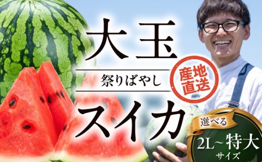 スイカ[先行予約][2026年6月上旬から順次発送] 特大スイカ[祭りばやし] 特大(11〜13kg)×1玉 愛媛県大洲市/ふじた農園 [AGDH005] スイカ すいか 西瓜 くだもの 果物 フルーツ 野菜 やさい 新鮮 愛媛県産 大洲市産 産地直送 おすすめ 人気 お取り寄せ 送料無料 贈答 ギフト