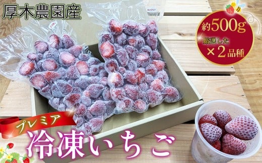 No.1116 厚木農園産　プレミア冷凍いちご（1kg） ／ 苺 イチゴ 果物 フルーツ 冷凍保存 丁寧 厳選 飯山 厚木市 おやつ デザート 子供 スムージー ヨーグルト お菓子作り 神奈川県