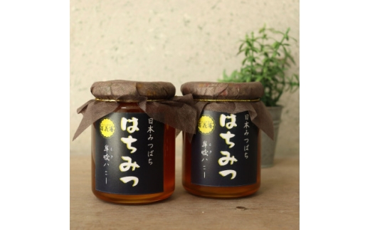 牟岐ハニー　日本ミツバチの百花蜜　300g×2【1661817】