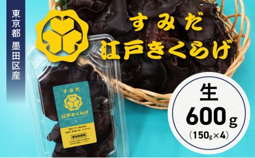 東京都墨田区産　生キクラゲ600g（150g×4パック）　食品 野菜 きのこ キノコ きくらげ キクラゲ 木耳 純国産 新鮮 プリプリ 肉厚 サラダ 和え物 炒め物 鍋[№5619-2136] 2112045 - 東京都墨田区
